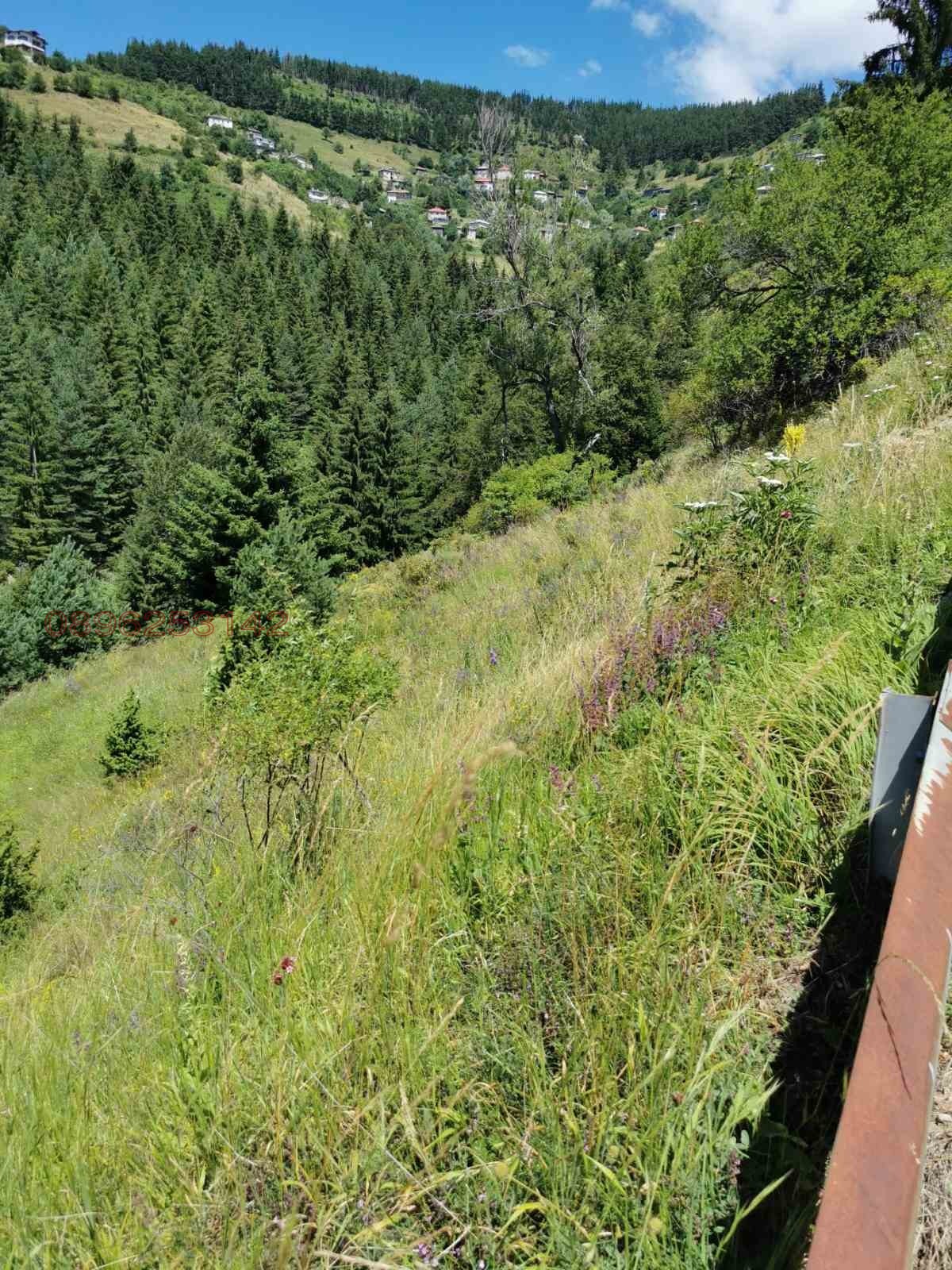 ������� ������ | Imot.bg � ����������� 4