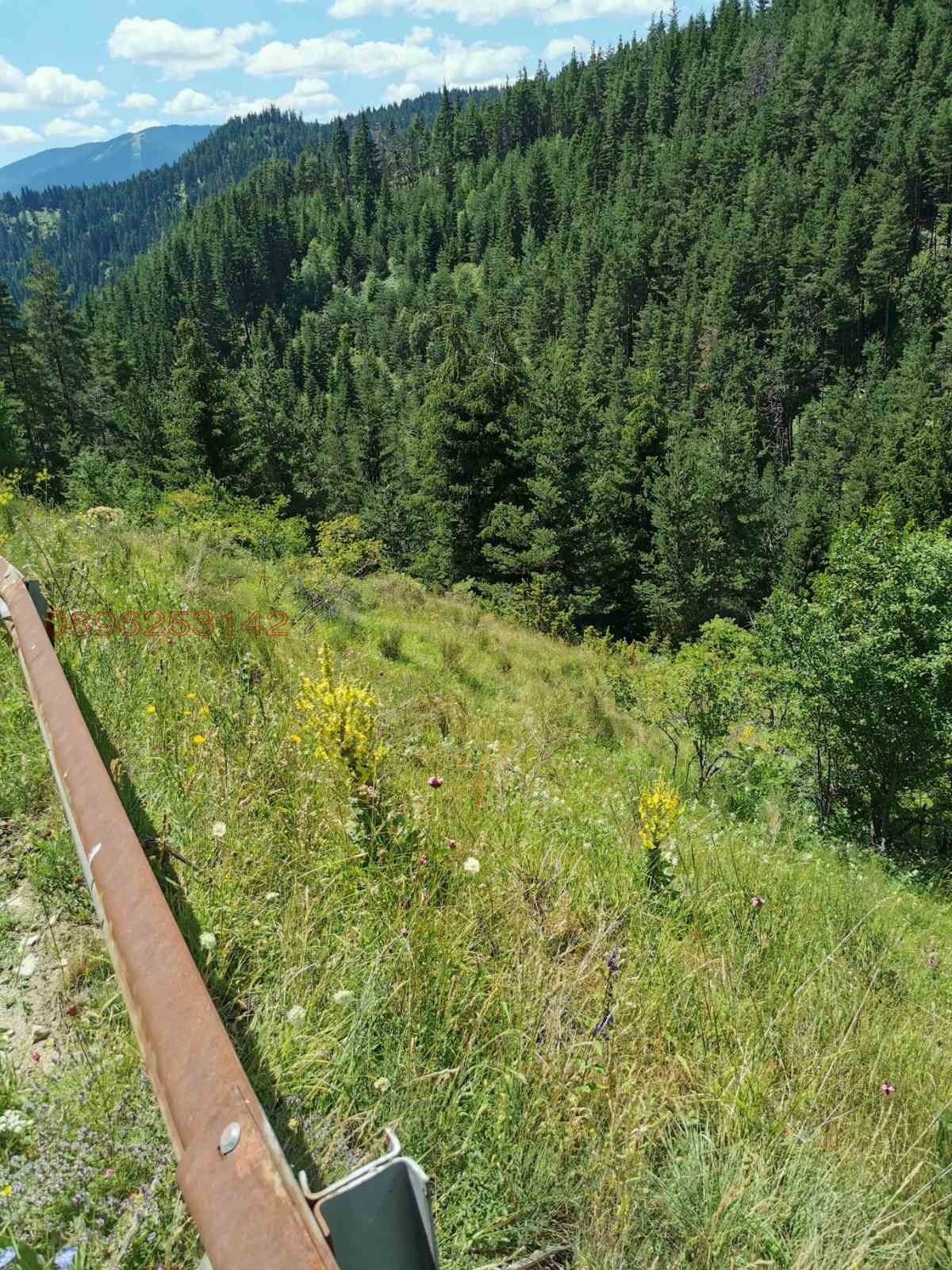 ������� ������ | Imot.bg � ����������� 5