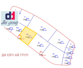 ����� ������� ������,���� �����, ���������