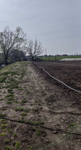 ������� ������ | Imot.bg � ����� ������ 5