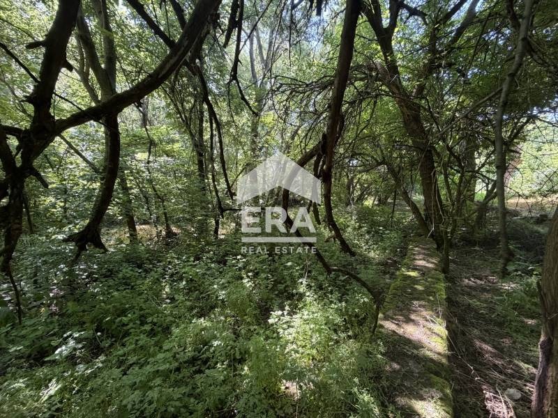 Продава ПАРЦЕЛ, с. Русаля, област Велико Търново, снимка 4 - Парцели - 54710065