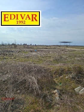 ������ ������� ������