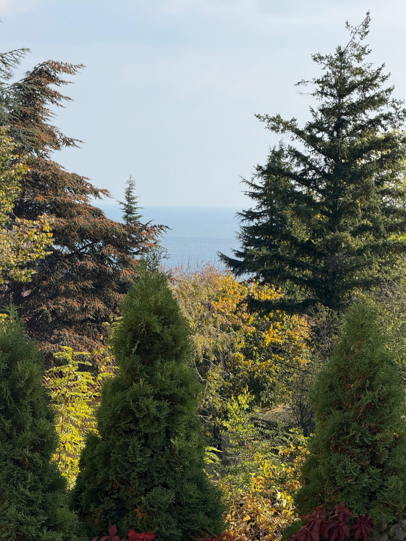 Продава 2-СТАЕН, гр. Бяла, област Варна, снимка 8 - Апартаменти - 53267495