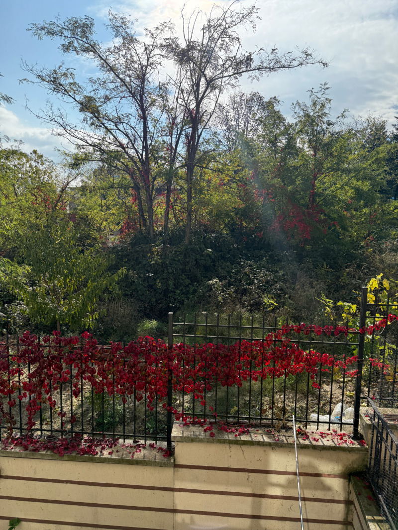 Продава 2-СТАЕН, гр. Бяла, област Варна, снимка 5 - Апартаменти - 53267495