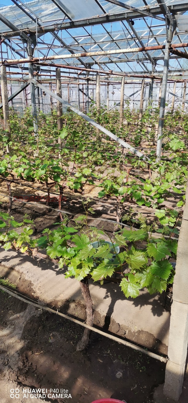 Продава КЪЩА, с. Бенковски, област Варна, снимка 13 - Къщи - 52781987