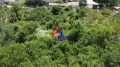 Продава КЪЩА, с. Новосел, област Шумен, снимка 2