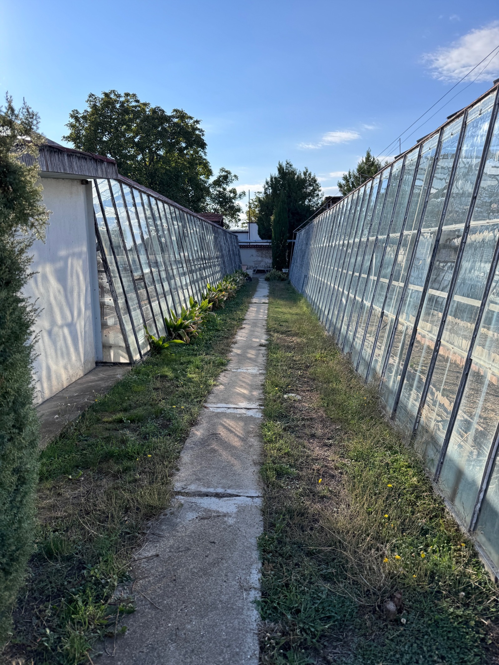 ������� ������ | Imot.bg � ����������� 9