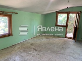 σπίτι Βανκια, Σοφηια 8