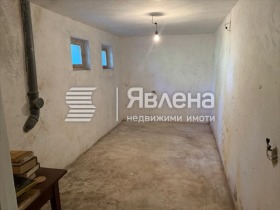 σπίτι Βανκια, Σοφηια 12