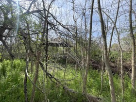 ������� ���� | Imot.bg � ����� ������ 8