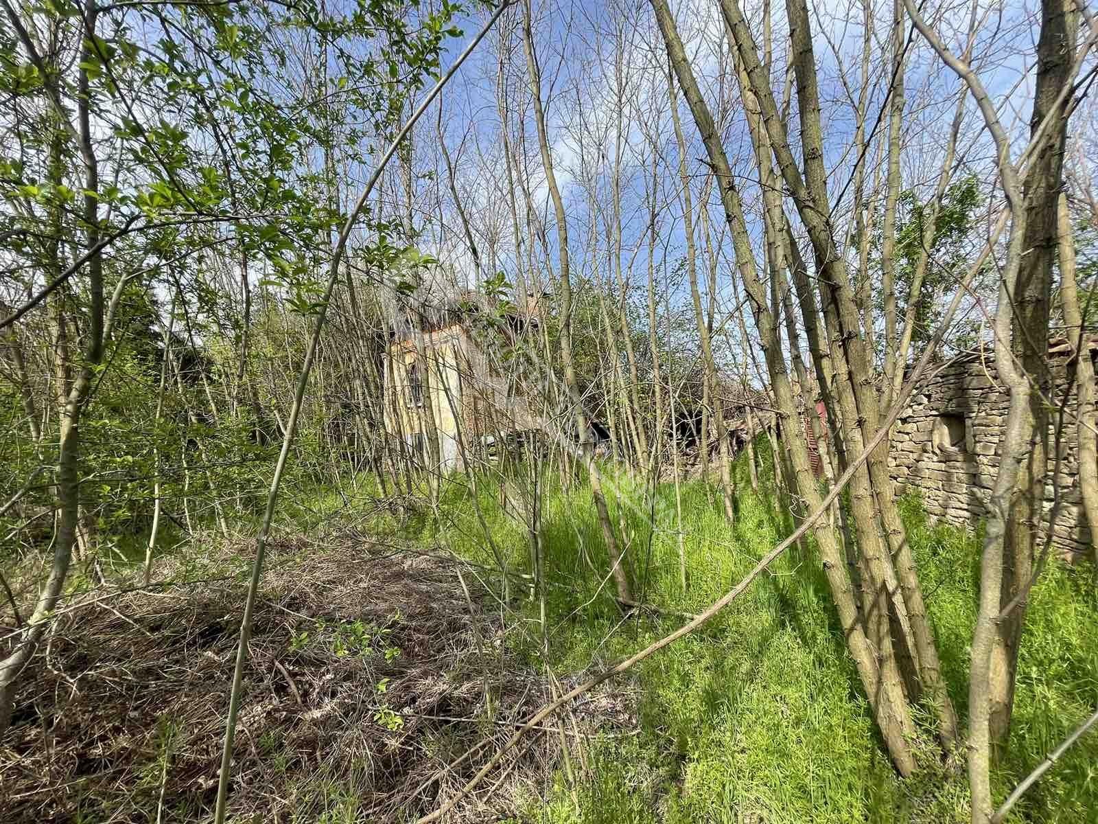 Продава КЪЩА, с. Стамболово, област Велико Търново, снимка 6 - Къщи - 54205170