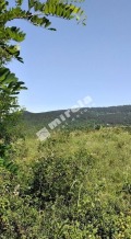 Продава ПАРЦЕЛ, област Велико Търново, гр. Елена • 21500 € • 44833177 — Holmes.bg