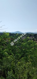 Продава ПАРЦЕЛ, област Велико Търново, гр. Елена • 21500 € • 44833177 — Holmes.bg