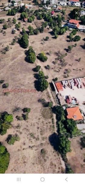 ����� ������� ������,���� �������, ���������� ���� - ��