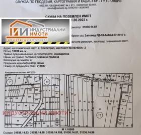 ����� ������� ������,���� �������, �������� ����