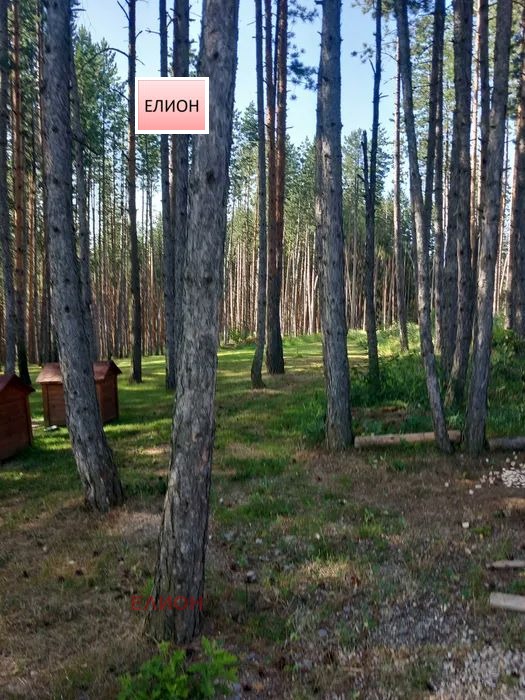 Te koop  Land regio Pernik , Kladnitsa , 4 dka | 71632615