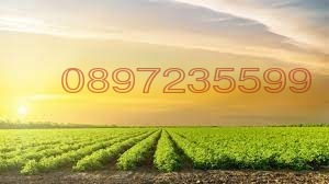 Продава ЗЕМЕДЕЛСКА ЗЕМЯ, гр. Каварна, област Добрич