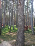 Продава ЗЕМЕДЕЛСКА ЗЕМЯ, с. Кладница, област Перник, снимка 2