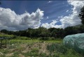 Продава КЪЩА, област София, с. Комщица • 60000 € • 66743104 2
