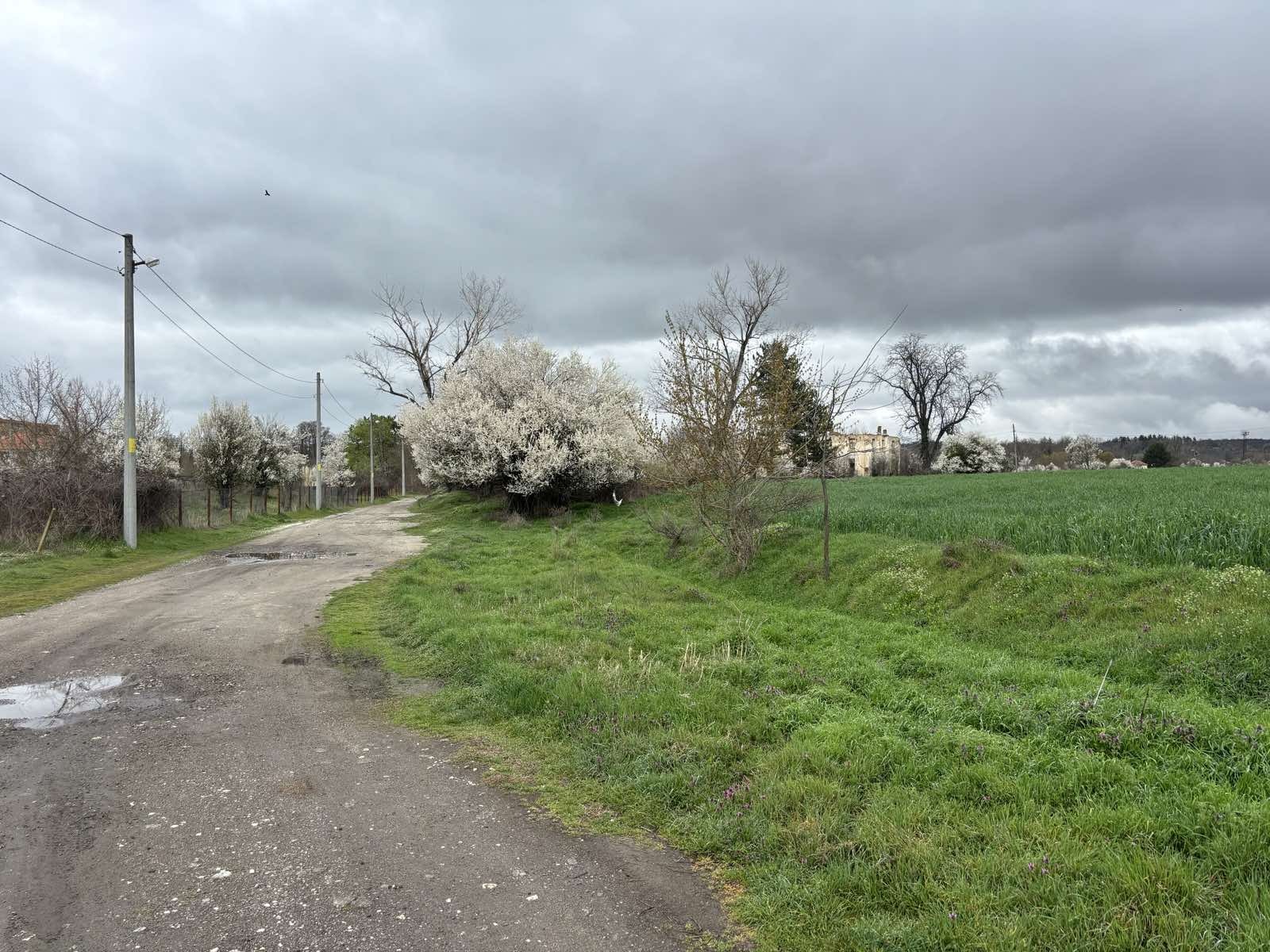 ������� ������ | Imot.bg � ����������� 1