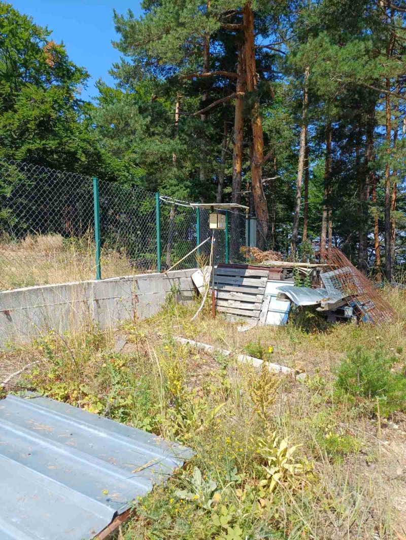 Продава  Парцел област Пловдив , с. Бойково , 934 кв.м | 58586379 - изображение [7]