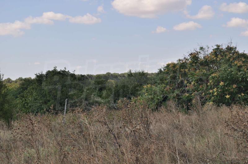 Продава ПАРЦЕЛ | Imot.bg — изображение 4