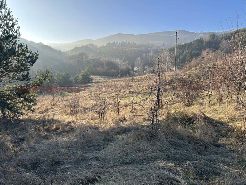 Продава ПАРЦЕЛ, гр. София, с. Железница, снимка 6 - Парцели - 52886995