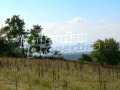 Продава ПАРЦЕЛ, с. Добрина, област Варна, снимка 2