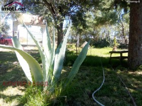 ������� ���� | Imot.bg � ����� ������ 6