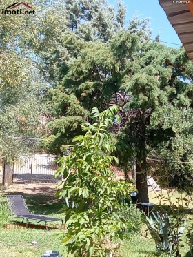 ������� ���� | Imot.bg � ����� ������ 3