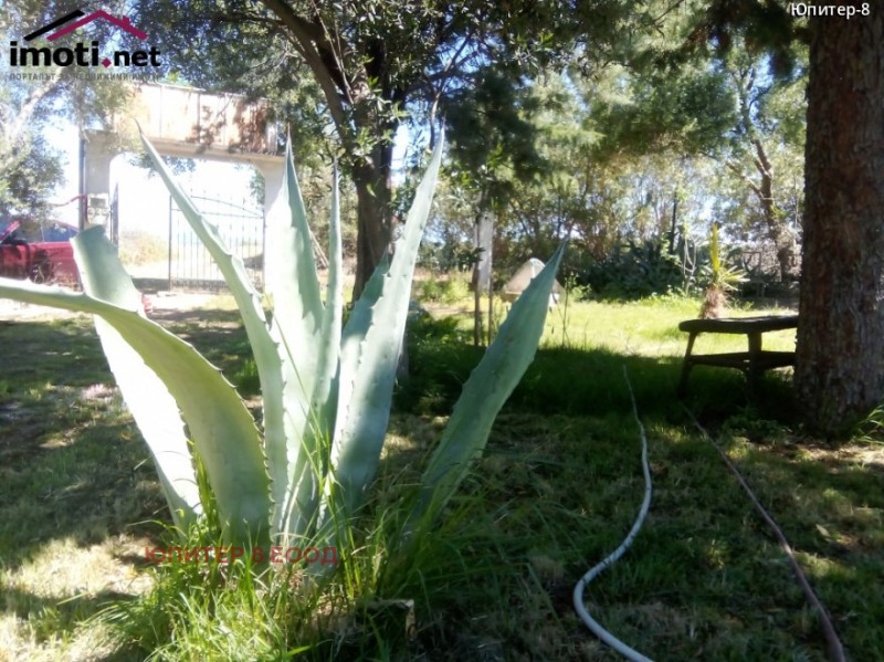 Продава ВИЛА, Извън страната, област Извън страната, снимка 6 - Вили - 53495854