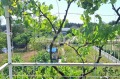 Продава ПАРЦЕЛ, град Варна, м-т Перчемлията • 65000 € / 127128.95 лв. • 31593482 2