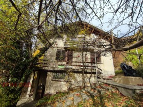 Hus Tserovo, region Sofia 1