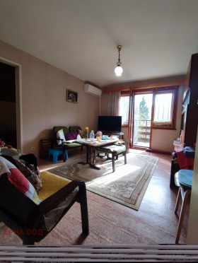 Hus Tserovo, region Sofia 6