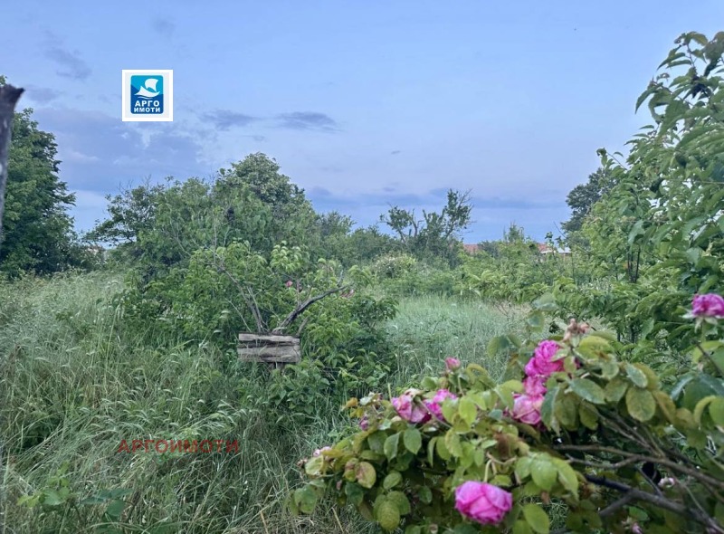 Продава  Парцел област Варна , с. Горица , 1400 кв.м | 67371638 - изображение [3]