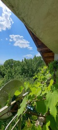Продава КЪЩА, област Перник, с. Расник • 85000 € / 166245.55 лв. • 35176263 4