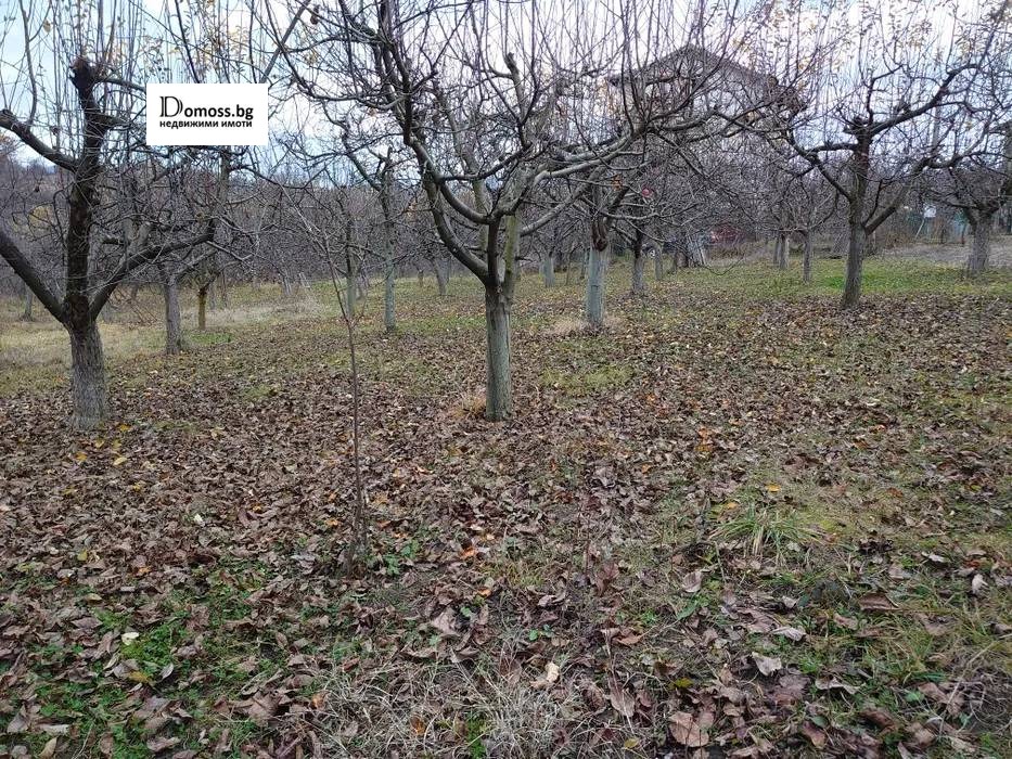 ������� ������ | Imot.bg � ����������� 8