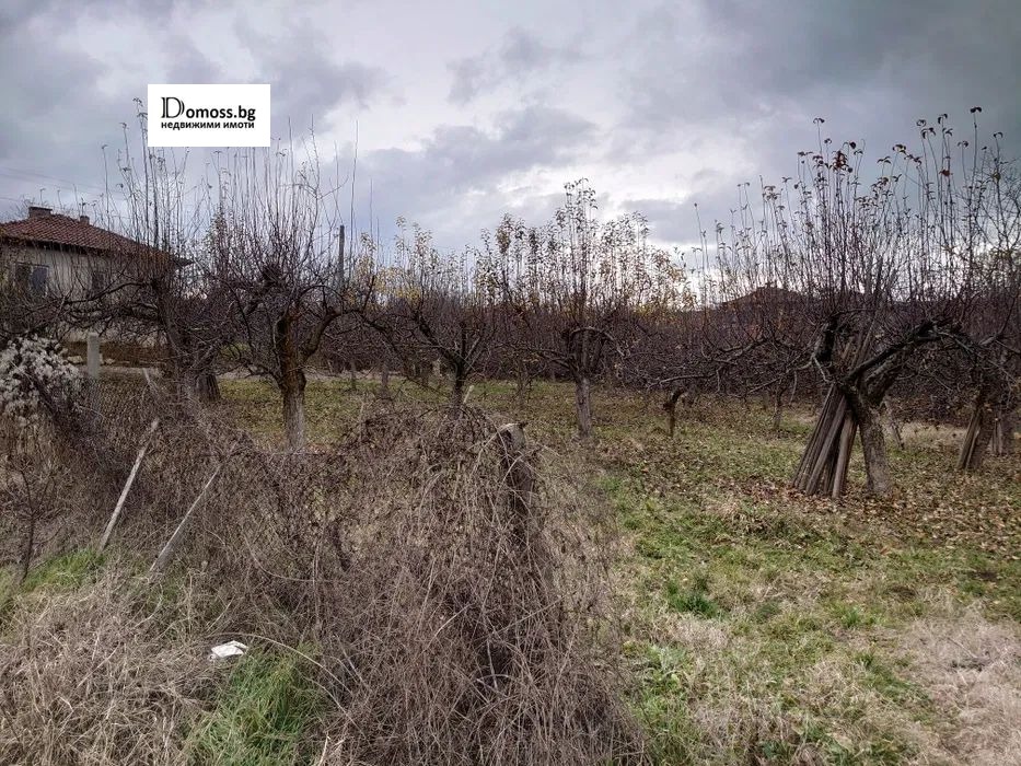 ������� ������ | Imot.bg � ����������� 13