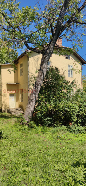 ������� ���� | Imot.bg � ����� ������ 8