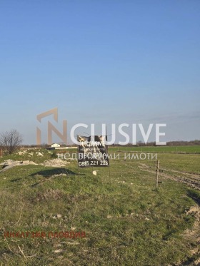 ������ ������� ������