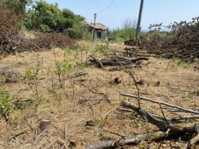 ������� ������ | Imot.bg � ����� ������ 11