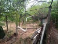 Продава ВИЛА, гр. Шумен, м-т Под Манастира, снимка 9