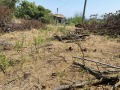 Продава ПАРЦЕЛ, с. Аврен, област Варна, снимка 11