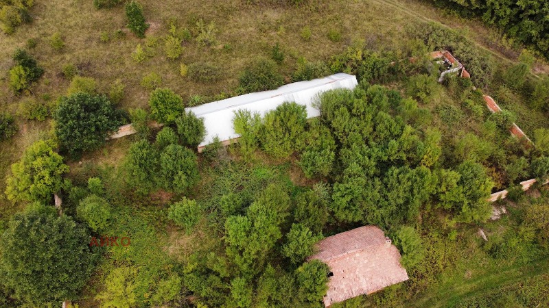 Продава ПРОМ. ПОМЕЩЕНИЕ в област София, с. Липница - 3900 кв.м / 40 903.35 € » 80 000 лв., АЙКО