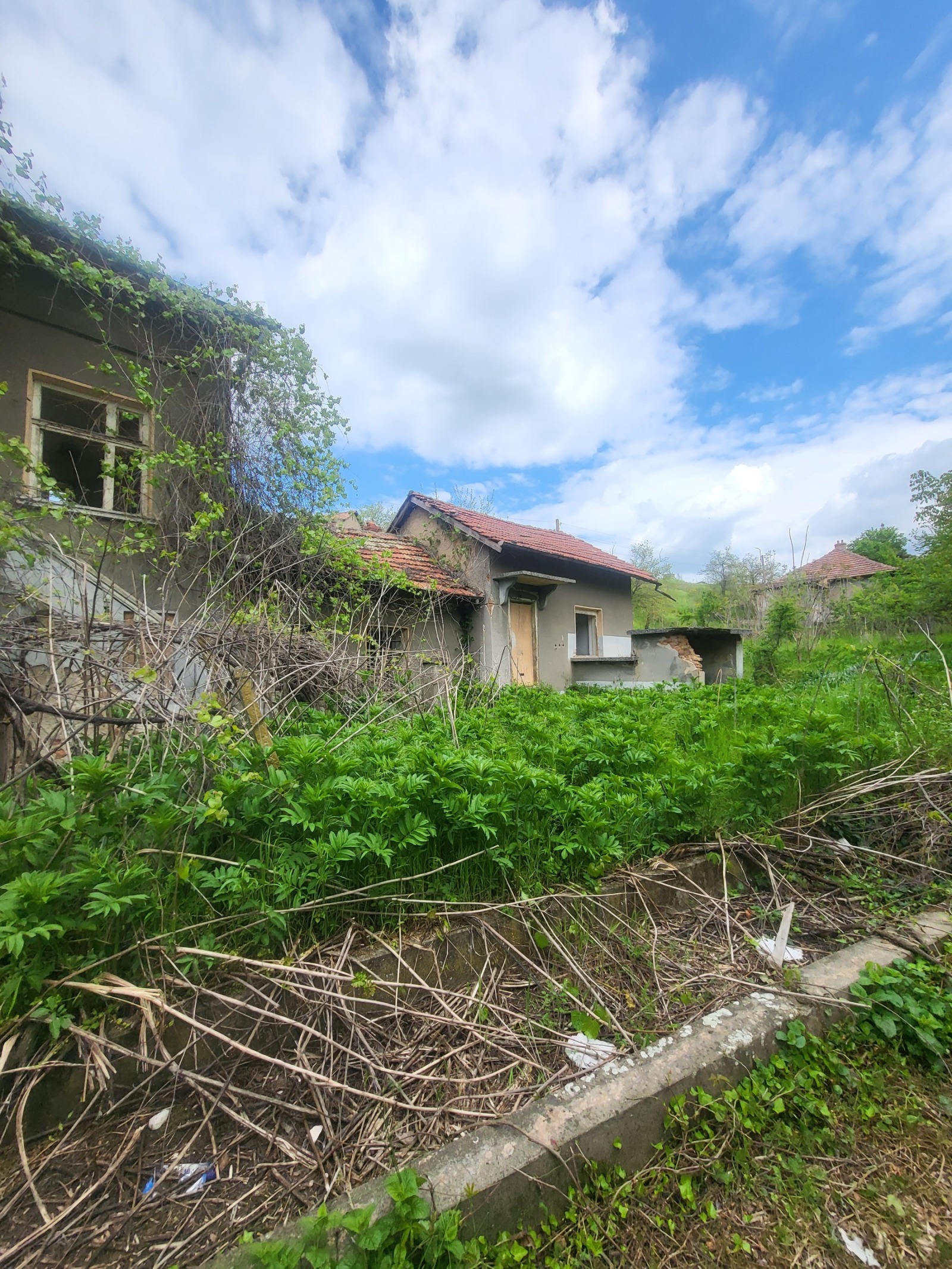 ������� ���� | Imot.bg � ����������� 11