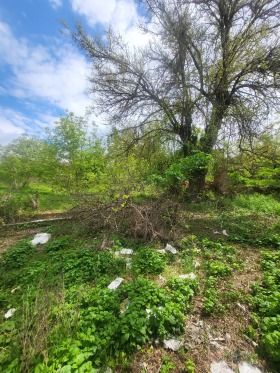 ������� ���� | Imot.bg � ����� ������ 8