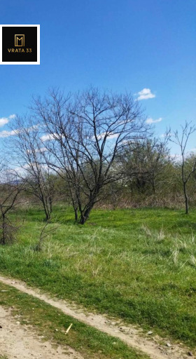 ����� ������� ���������� ����,��. �������, ������ �������