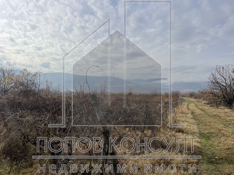 For Sale  Plot region Plovdiv , Brestnik , 3599 sq.m | 83173025 - image [2]