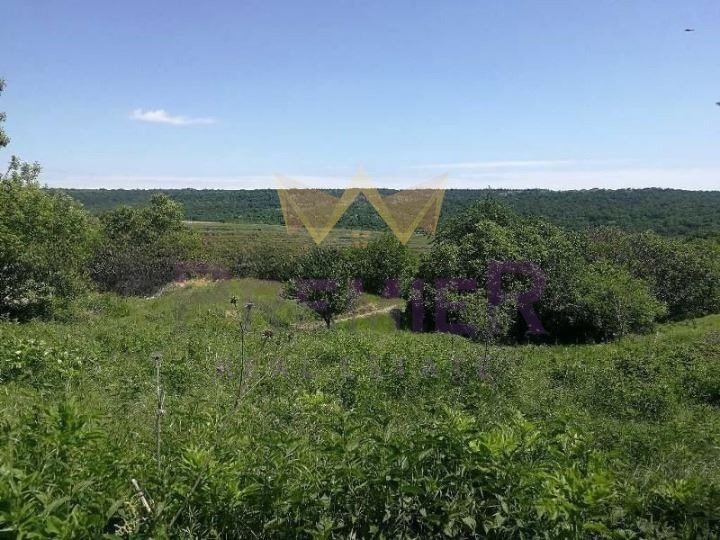 For Sale  Plot region Varna , Benkovski , 4464 sq.m | 42900600 - image [3]