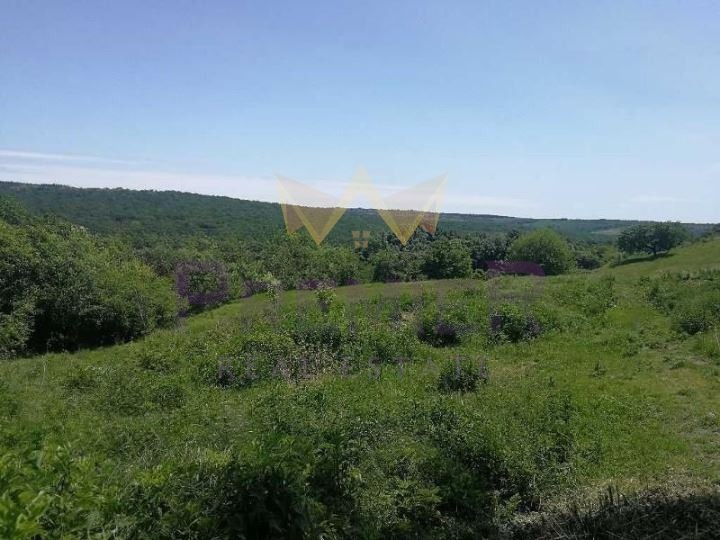 À vendre  Parcelle région Varna , Benkovski , 4464 m² | 42900600 - image [6]